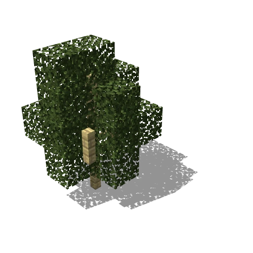 Birch Tiny 4