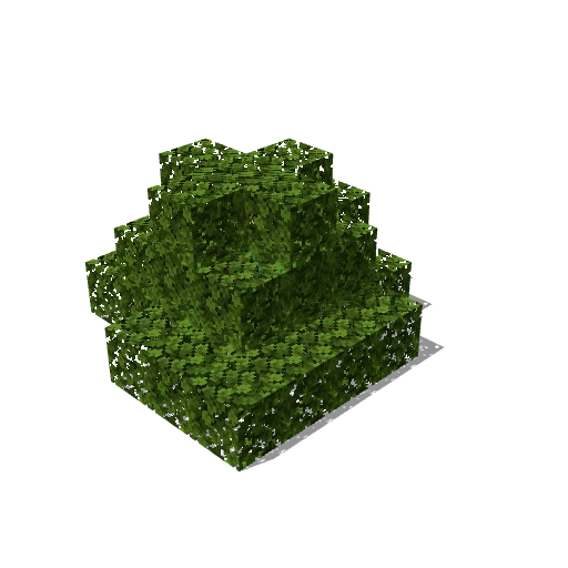 Bush 20