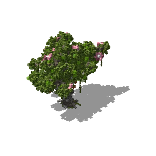 Large azalea 2