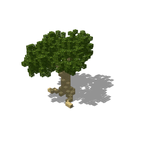 Small birch 13