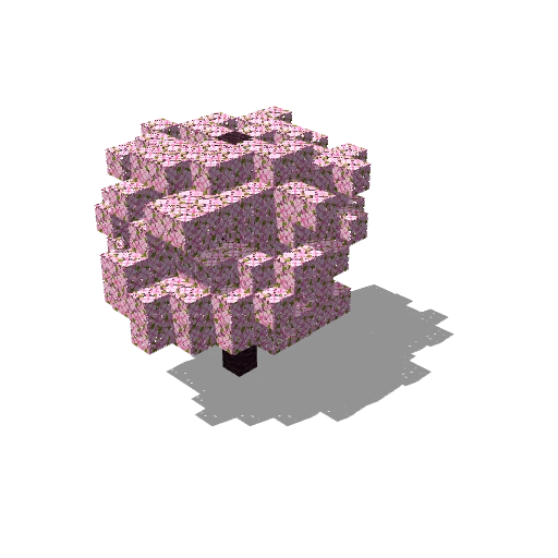 Medium cherry tree 5