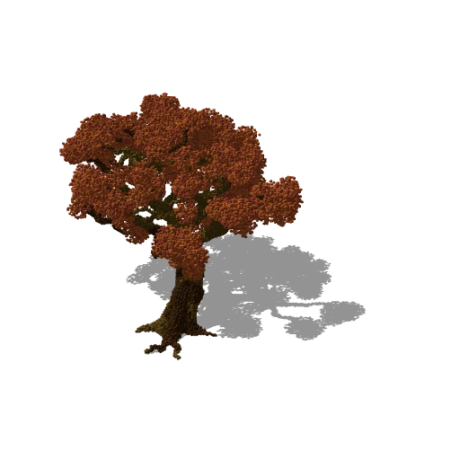 Huge tree 2
