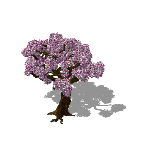 Huge tree 46