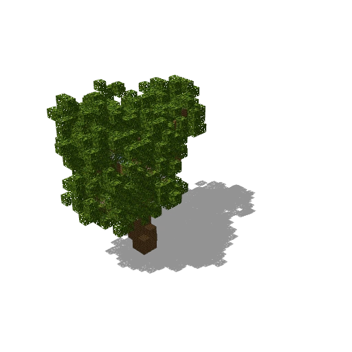 Medium pine 104