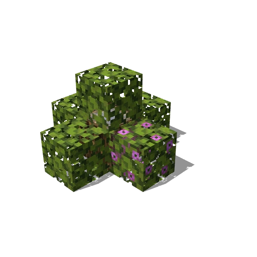 Bush 24