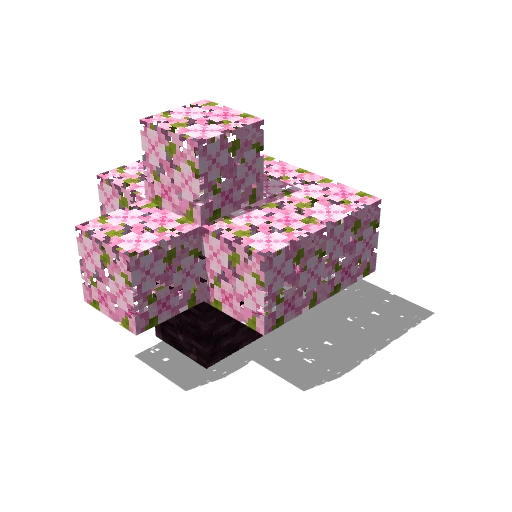 Tiny cherry tree 2