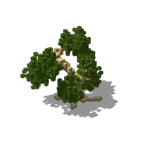 Medium birch 23