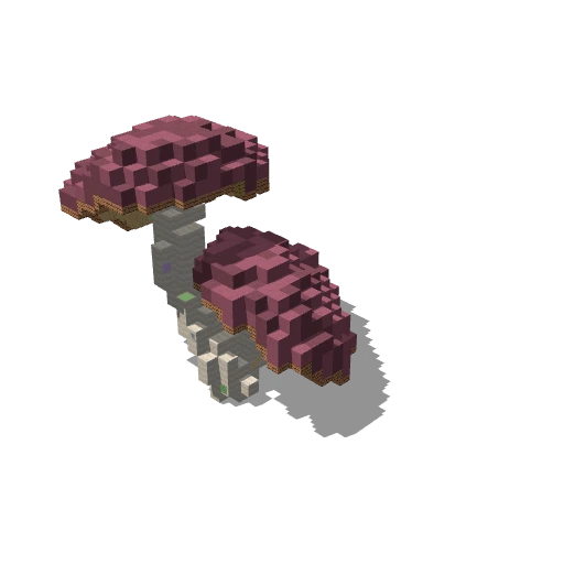 Mushroom 10