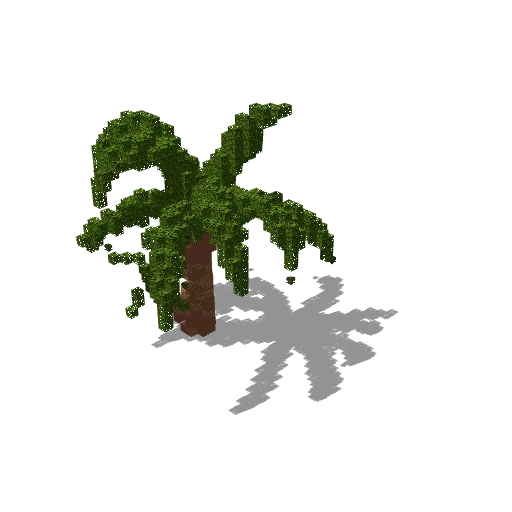 Medium palm 14