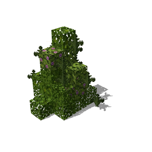 Bush 31