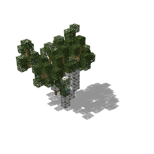 Medium birch 12