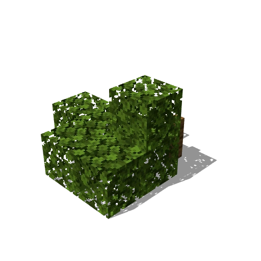 Bush 12