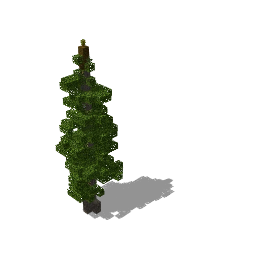 Gray wood tall 2