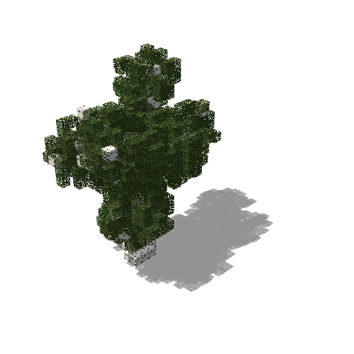 Medium birch 26