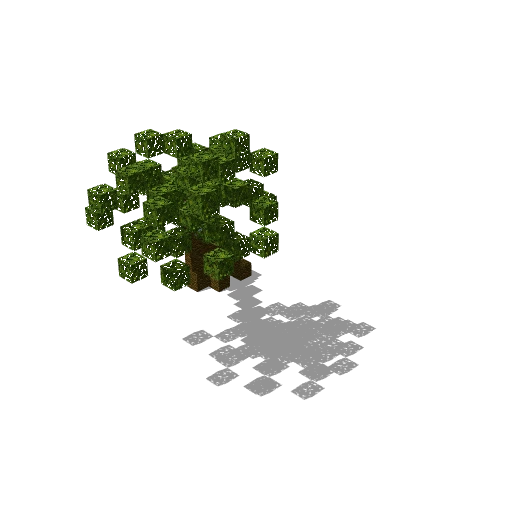 Small palm 17
