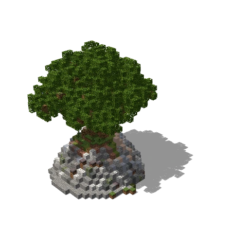 Large oak 2