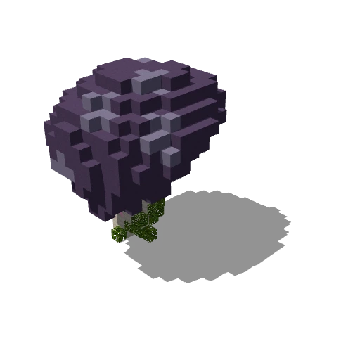 Mushroom 18
