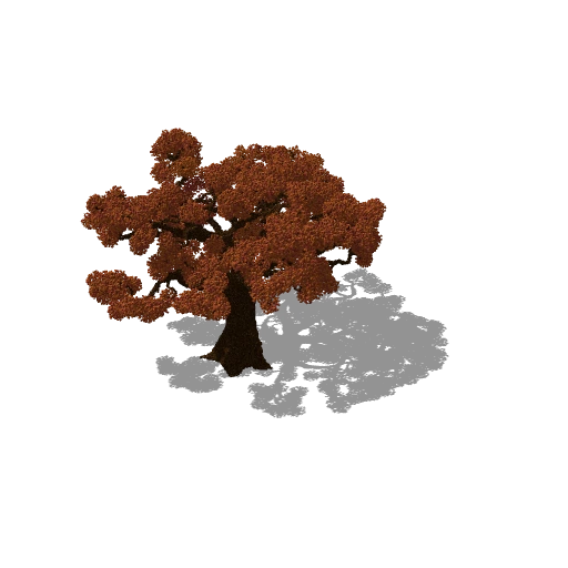 Huge tree 1