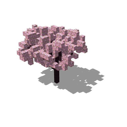 Medium cherry tree 6