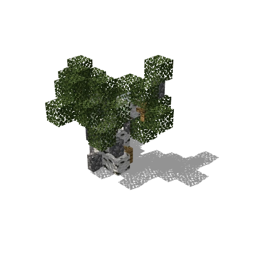 Tiny birch 16