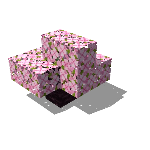 Tiny cherry tree 1