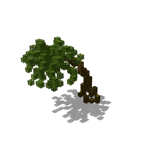 Small palm 23