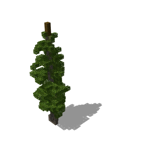 Gray wood tree tall 1