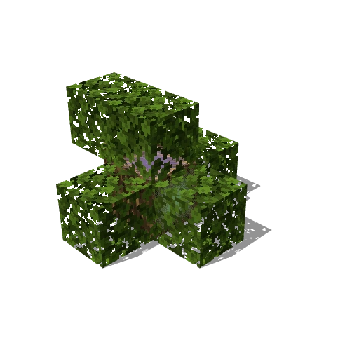 Bush 16