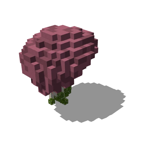 Mushroom 8