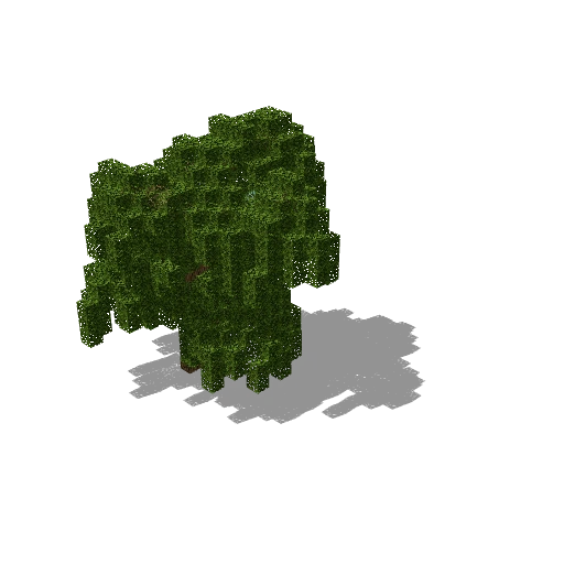 Weeping Willow 1