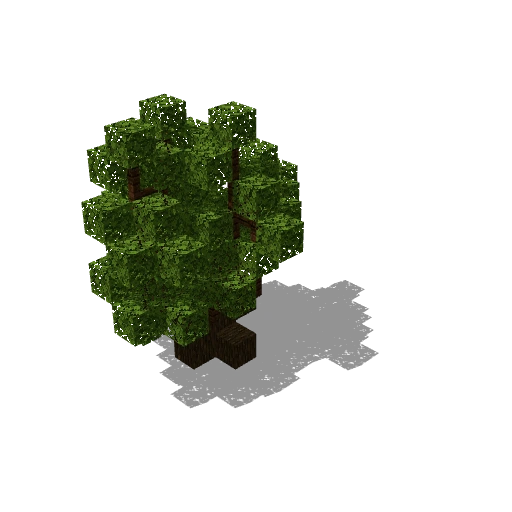 Small dark oak 7