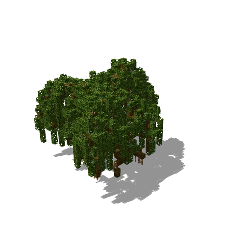 Medium swamp tree 17
