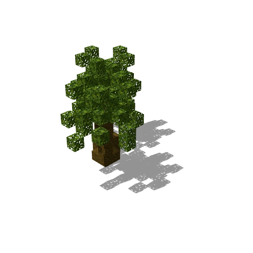 Small palm 9