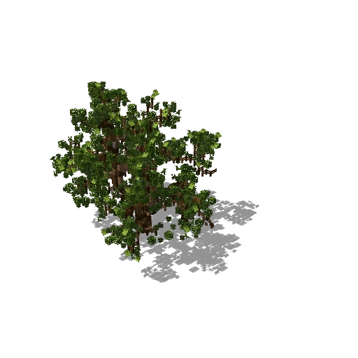Light green tree 22
