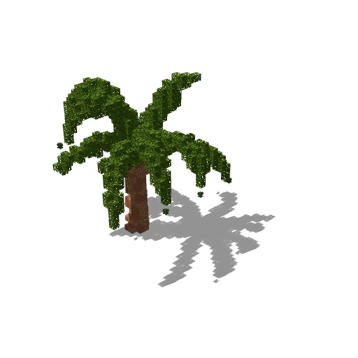 Small palm 36