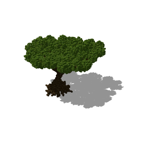 Large jungle tree 8