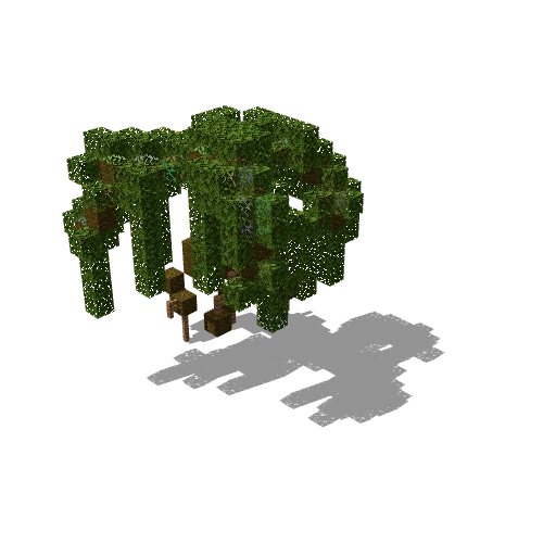 Small swamp tree 30