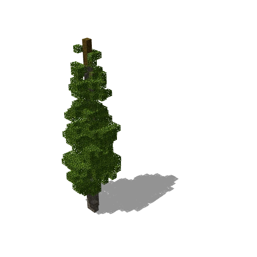 Gray wood tree tall 3